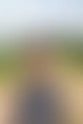 Woman wearing glasses standing on a rural dirt road beside green cornfields on a sunny day.