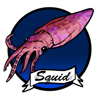 Val's Ocean Pacific Seafood Distribution High Quality Squid