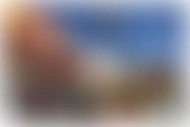 Clausuran Mc Donalds En Tlalnepantla Al Encontrar Cabeza De Ratón En Una Hamburguesa