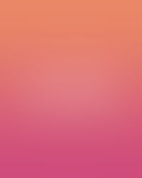 Let’s Talk About Bots, Cyborgs, and Other Fake Accounts