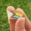 Thumbnail: Dissent Pins