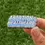 Thumbnail: Dissent Pins