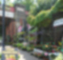 beautiful garden centre images of our arrangement.jpg