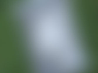 How Much Does Rabbit Manure Cost — and Is It Worth Buying?