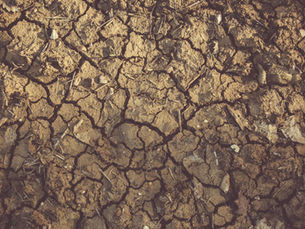 2022 - A Year In Review