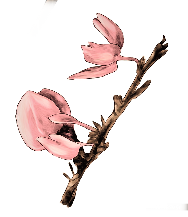 istockphoto-1297578652-2048x2048_edited_