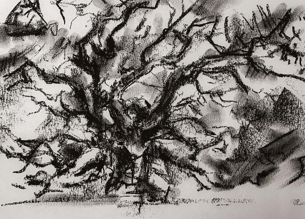 Angel Oak