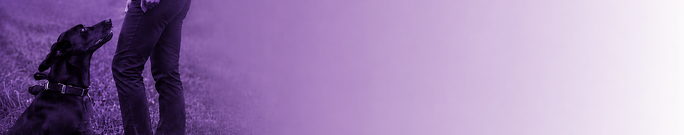 ChatGPT Image May 24, 2026, 09_00_33 AM.png
