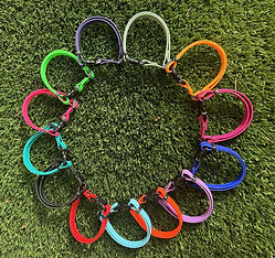 Puppy ID/ Whelping Collars