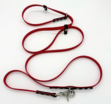 Slip Leash hybrid.jpg