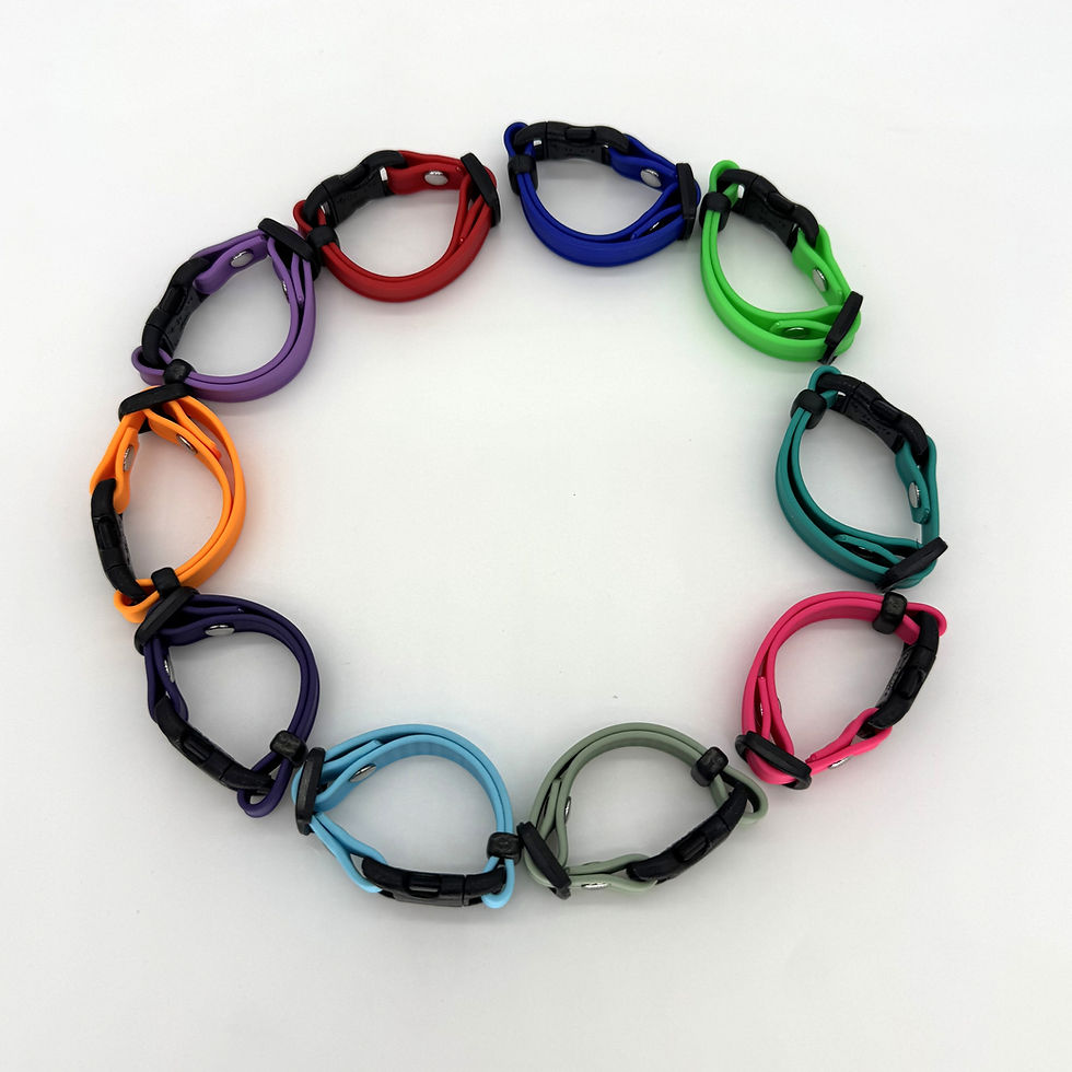 Thumbnail: Small Whelping Collar/Puppy ID Set