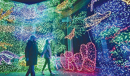 Zoolights Illuminates the Season