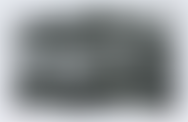 Vanport Mosaic Pivots to Virtual