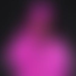 A True Celebration of Portland's Vibrant Jazz Scene