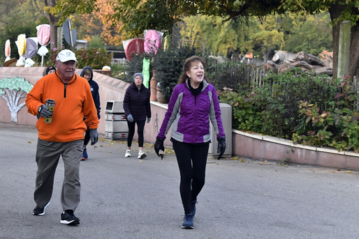 What Can Walking Do for You?