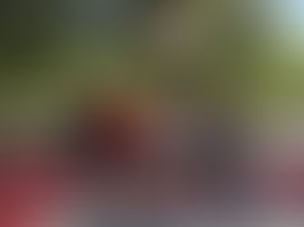 Refurbished Court in Northeast Portland