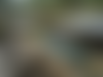 Campers & Counselors Among Nearly 90 Dead in Historic Flooding