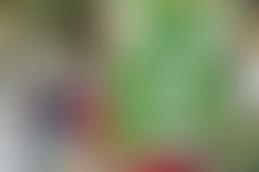 Disarming PSU Public Safety to Start