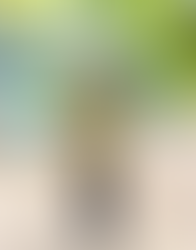 Portland Marathon Sells Out 53rd Annual Event