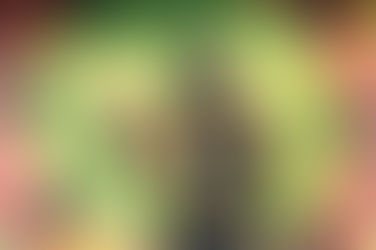 Beloved Reggae Star Remembered