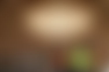 Biden in Portland Touts Public Works