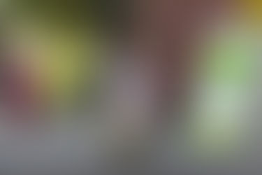 Kids Ready for Summer Lunch + Play