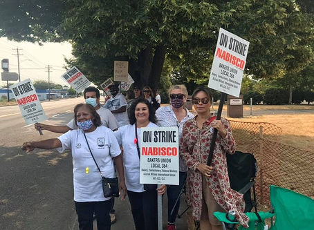 Minority Lawmakers Support Strikers