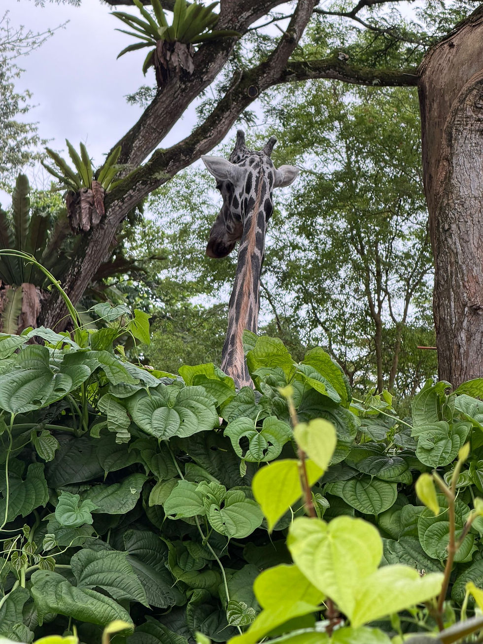 Ce n'est pas une statue, elle est bien réelle.