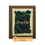 Miniatura: PLACA  P116