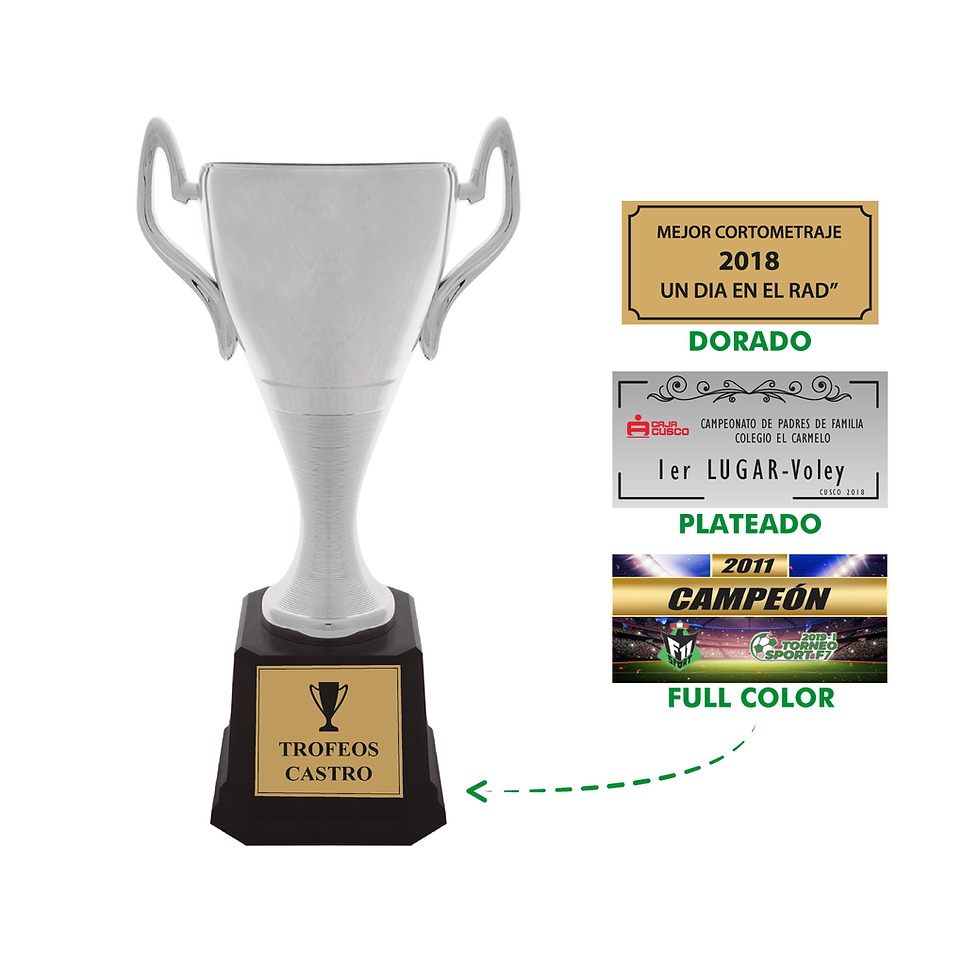 Miniatura: TROFEO (TX010)