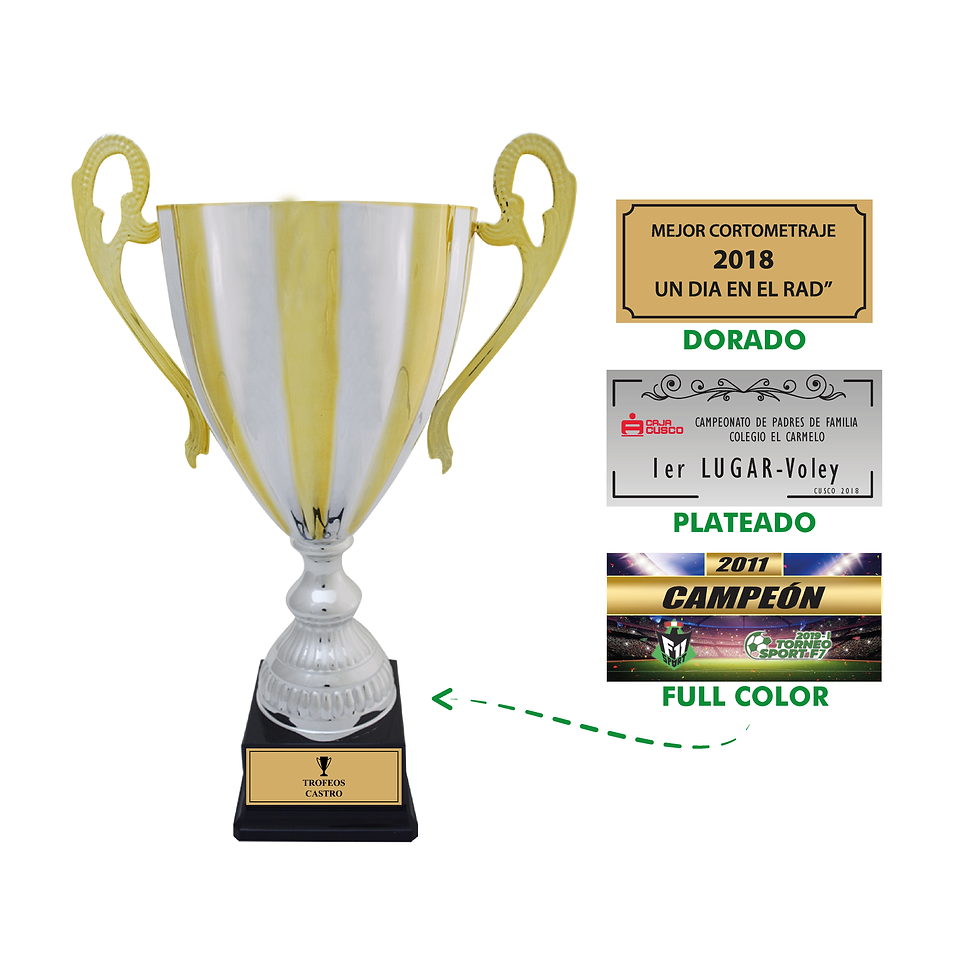Miniatura: TROFEO (TG342)