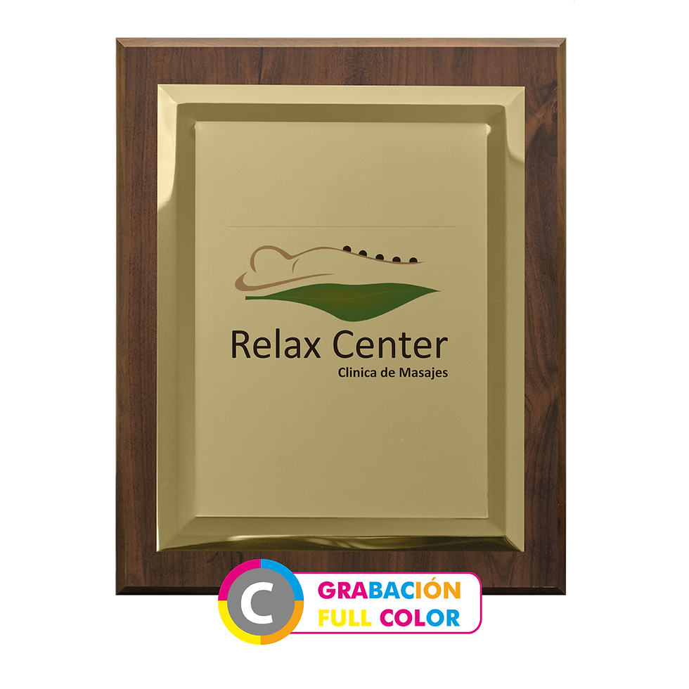 Miniatura: PLACA  P182