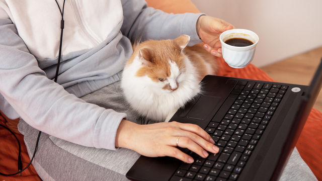 A lady taking at home ketamine assisted therapy with her cat