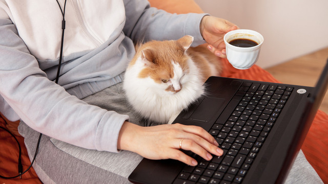 A lady taking at home ketamine assisted therapy with her cat