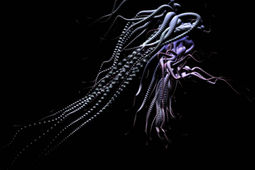 origenlux_3d_3