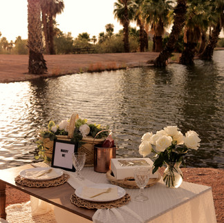 Proposal Picnic in Arizona