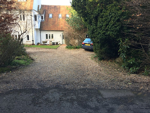 willow tree Oxted 1.jpeg