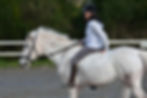 cavalier_sans_selle_ecurie_bretagne