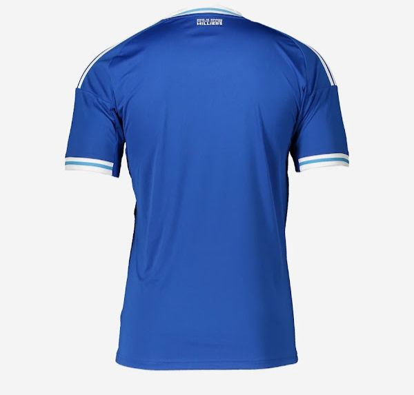 תמונה ממוזערת: חולצת בית ראסינג שטרסבורג 25/26