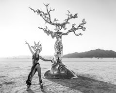 Black and White photo of a polished metal tree sculpture.