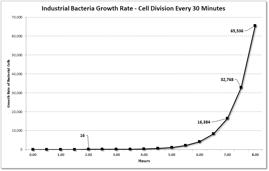 Bacterial Cell Generation Every 30 Minutes