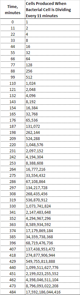 Bacterial Cell Production with 11-Minute Generation Rate