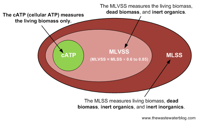 mlvss/mlss ratio