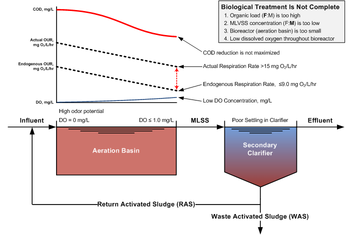 Graph of OUR Showing Incomplete Treatment