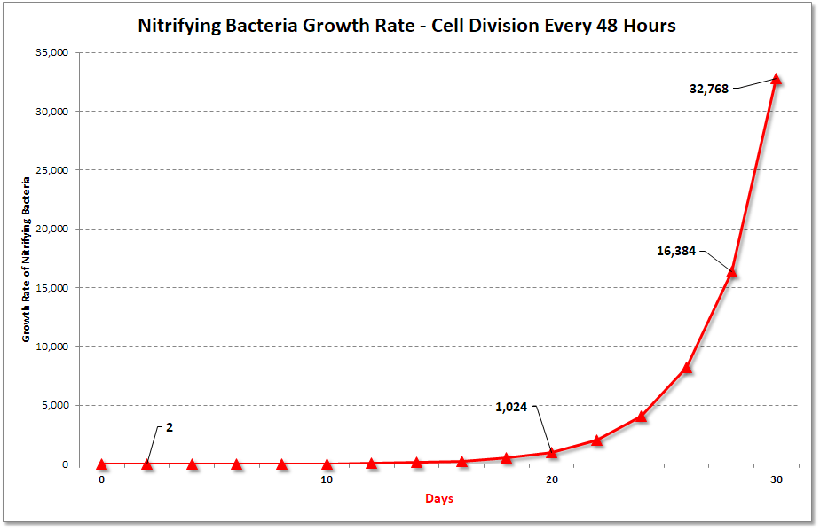 Nitrifying Bacteria Cell Generation Every 48 Hours