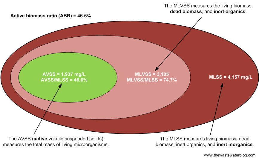 AVSS image with example