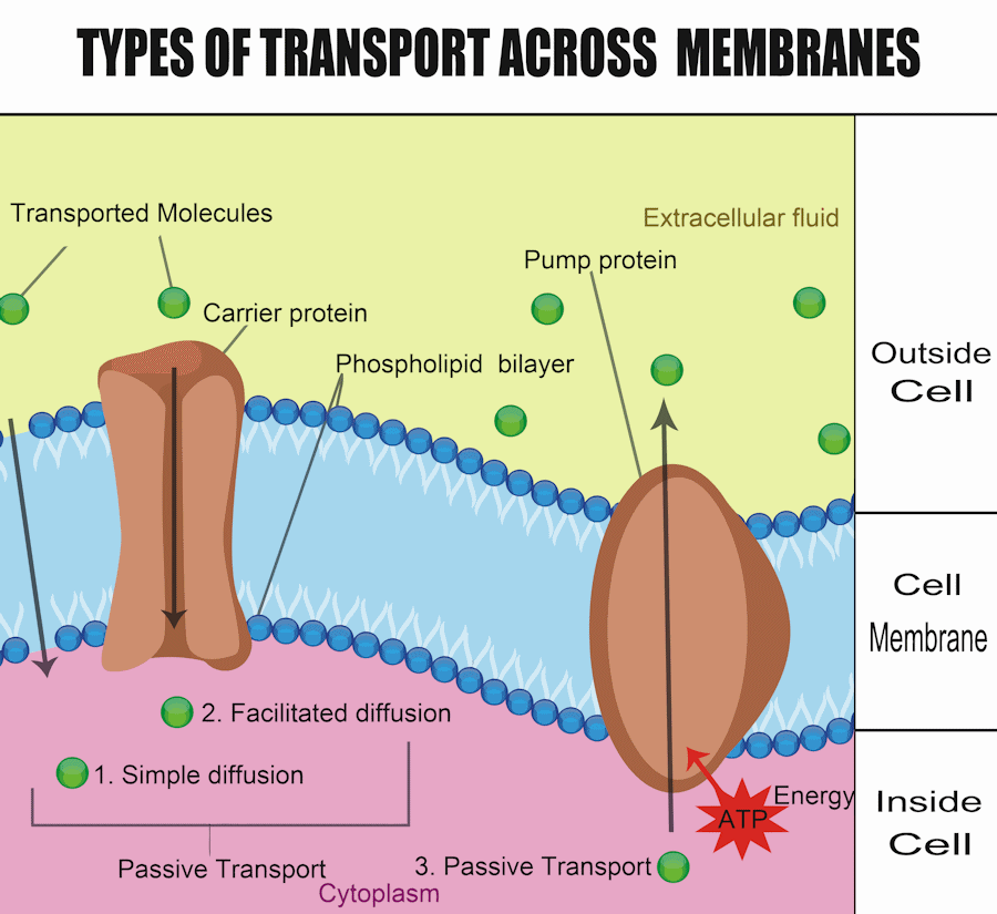 Key ATP Terms