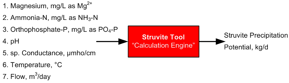 Struvite software tool