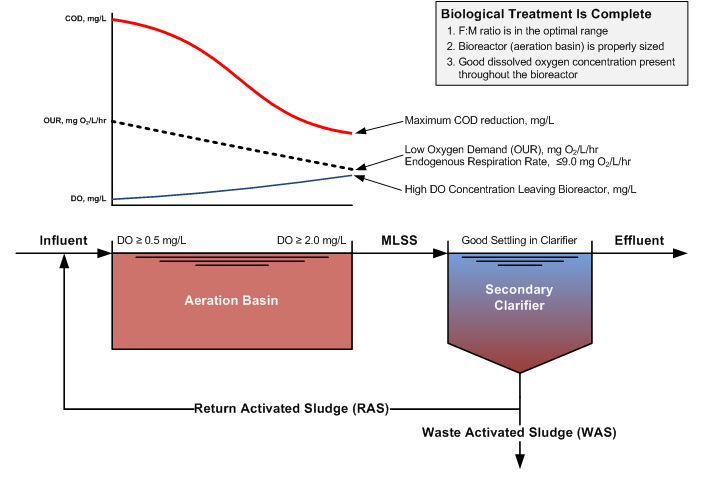 OUR Graphic Indicating Complete Treatment