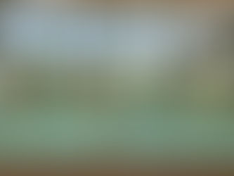 Bringing Architectural Vision to Life with Nucraft Windows